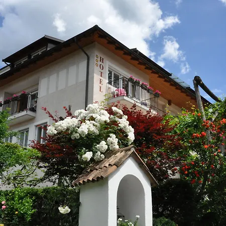 Hotel Weingarten-2